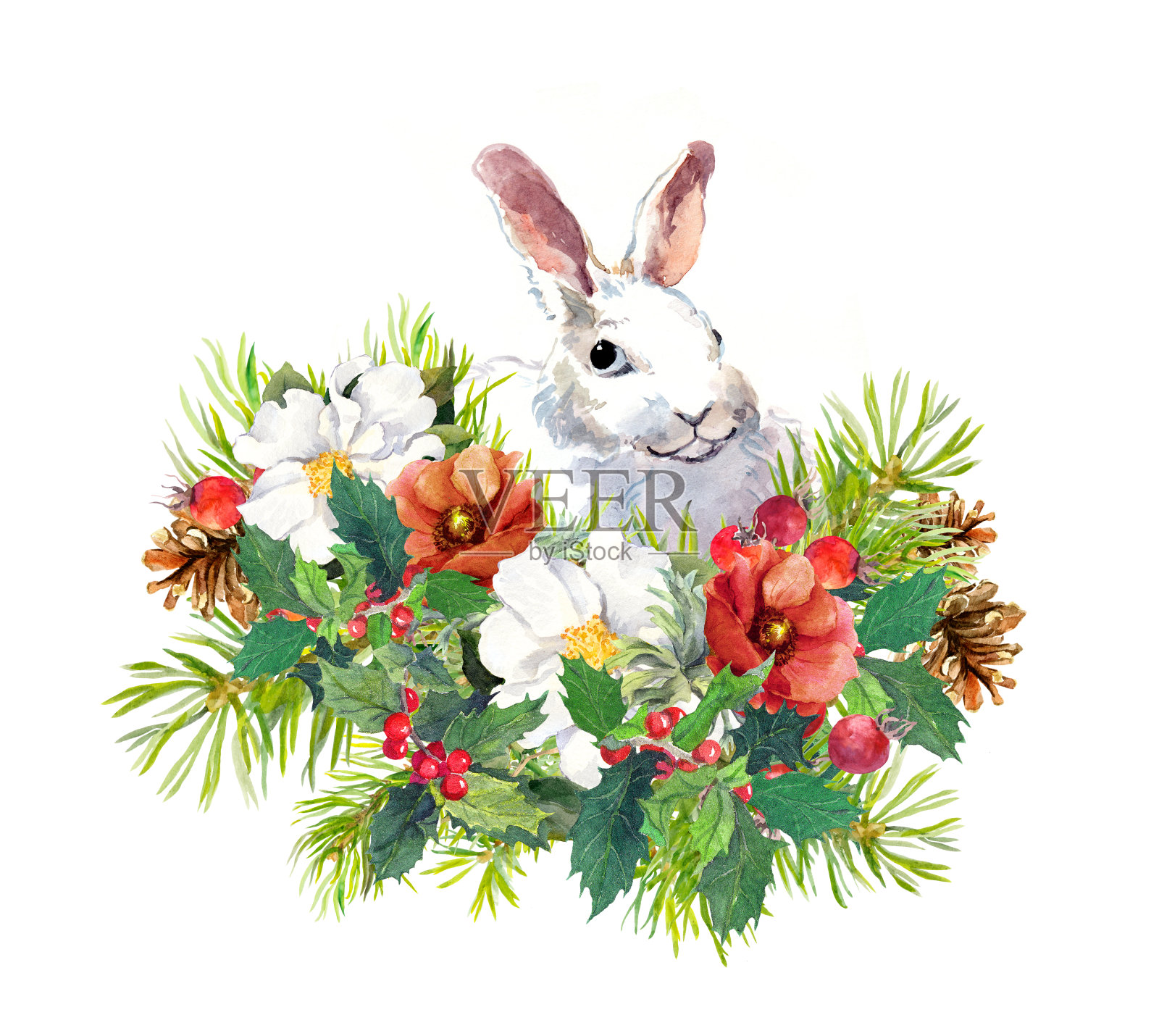 冬兔，花，松树，槲寄生。圣诞水彩贺卡与可爱的动物设计元素图片