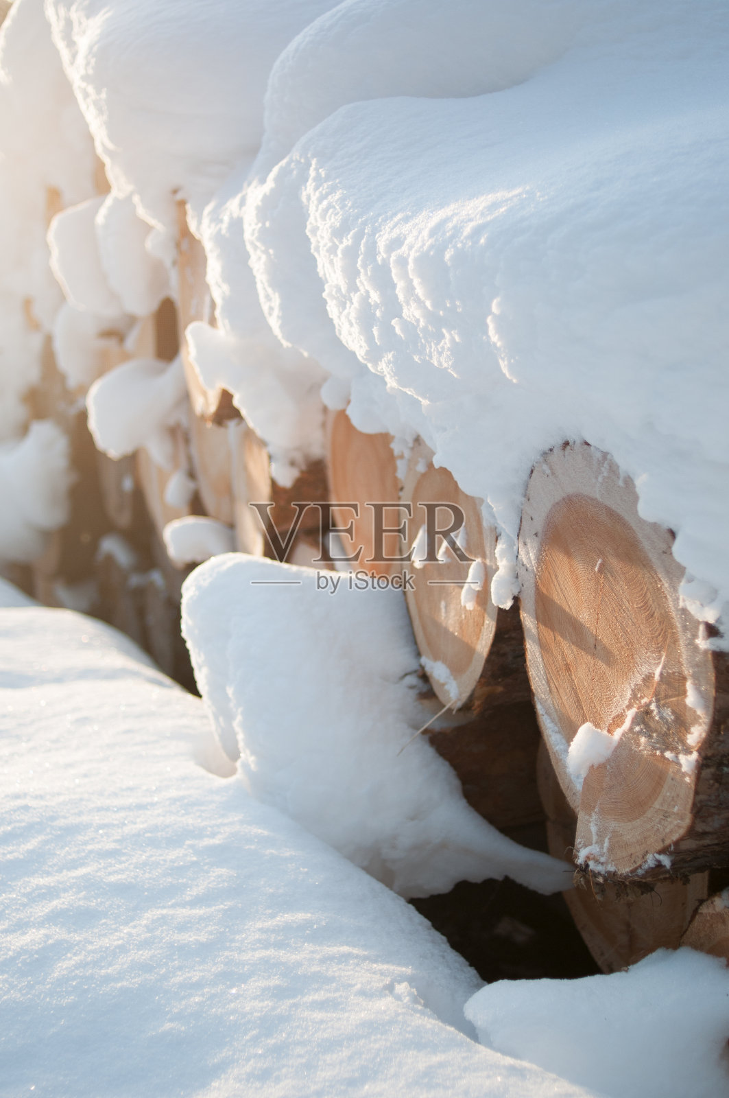 白雪覆盖的原木堆照片摄影图片