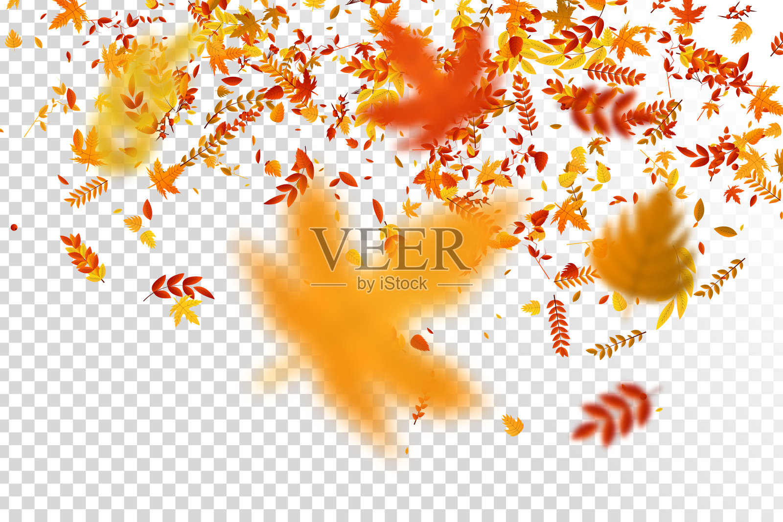矢量现实孤立的红色，黄色和橙色枫树和橡树落叶五彩纸屑装饰和覆盖在透明的背景。快乐秋天的概念。设计元素图片