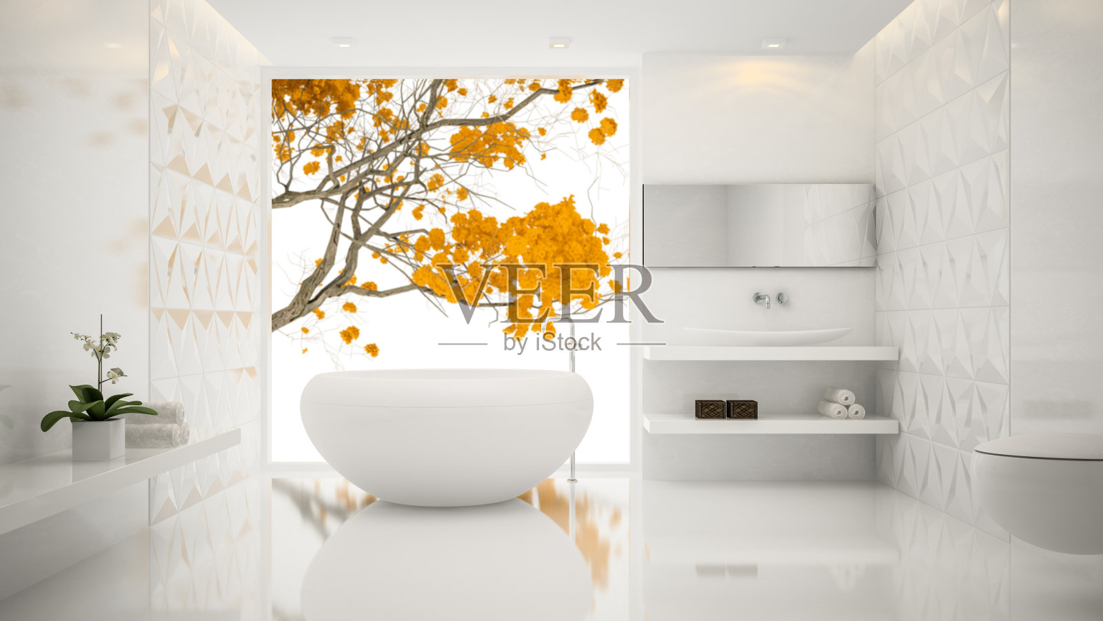 室内时尚的浴室3D渲染照片摄影图片