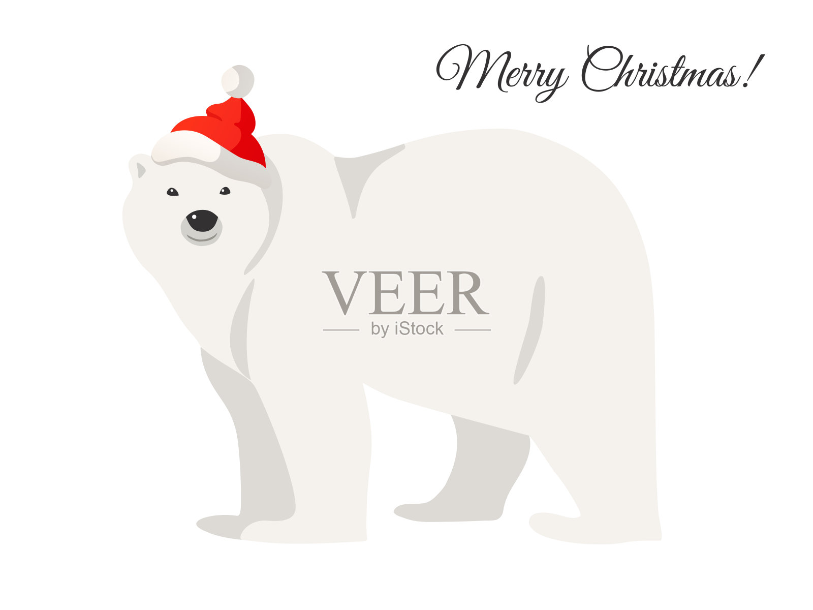 圣诞贺卡。白色的北极熊在圣诞老人的红帽子孤立在白色。插画图片素材