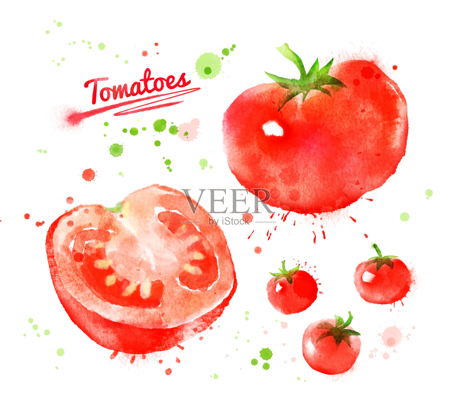 水彩西红柿。插画图片素材