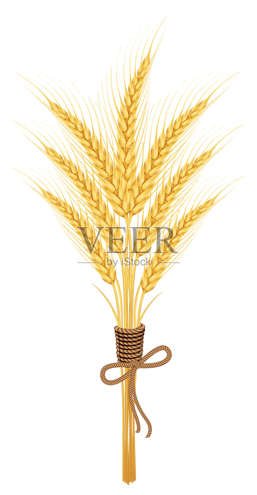 小麦设计元素图片