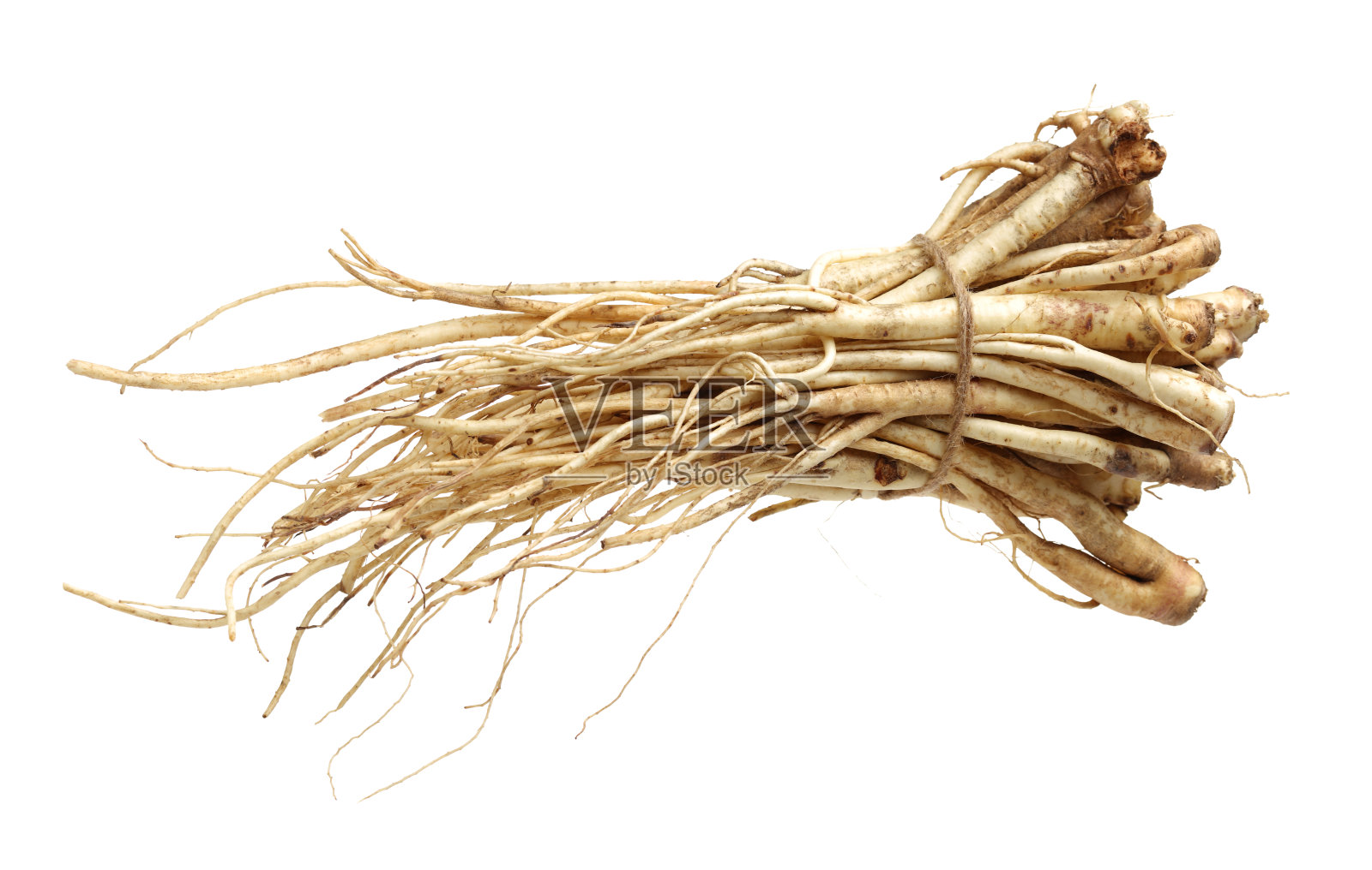 桔梗:韩国风铃花(桔梗)的根，俗称多拉戟，孤立于白色背景上。在韩国流行的蔬菜，也用于中药照片摄影图片