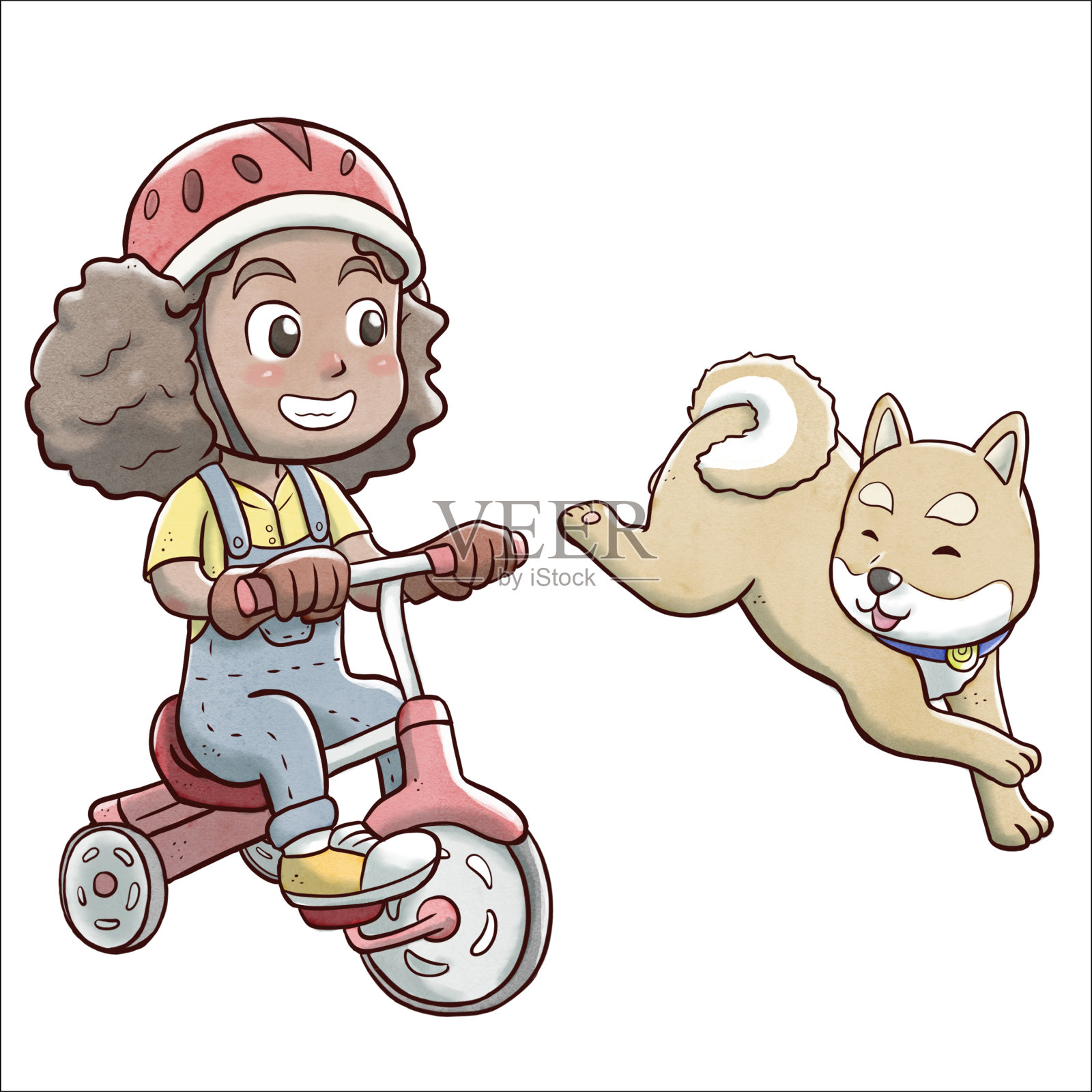 女孩骑着三轮车，后面跟着柴犬-白色的背景插画图片素材