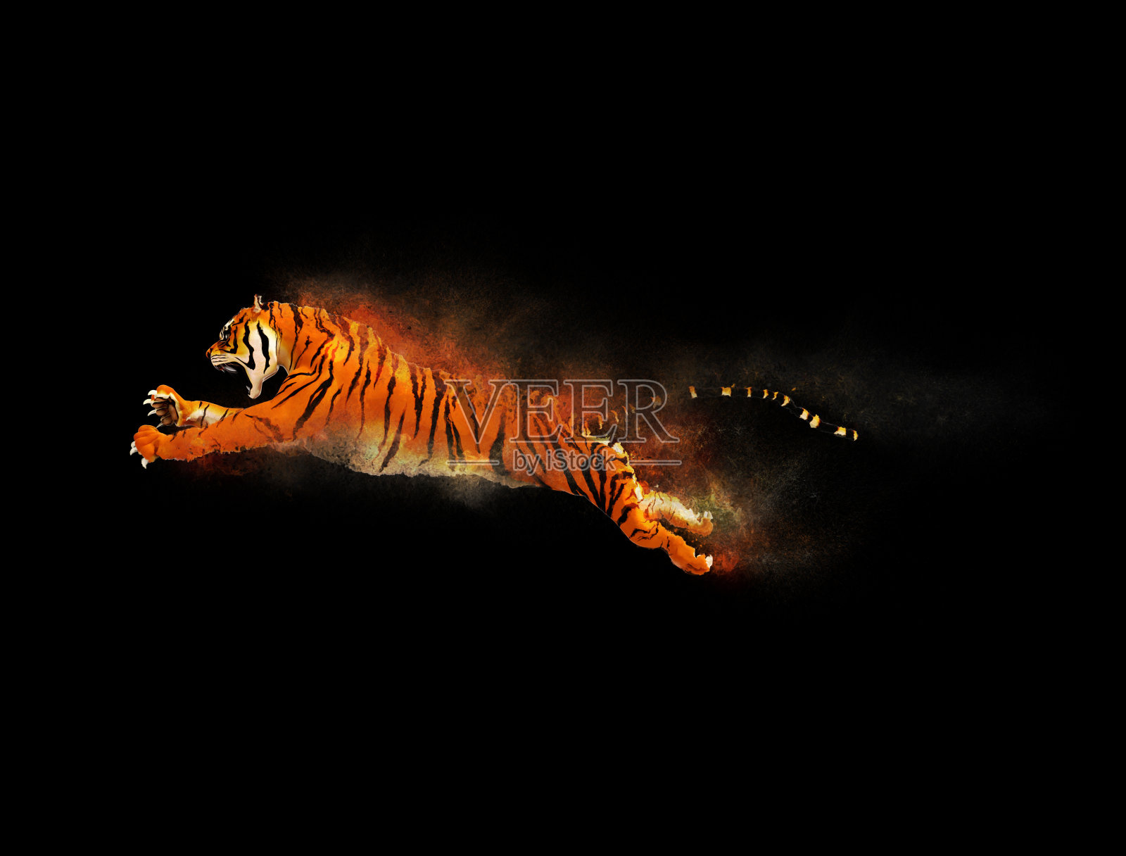 一只老虎带着尘埃移动跳跃照片摄影图片