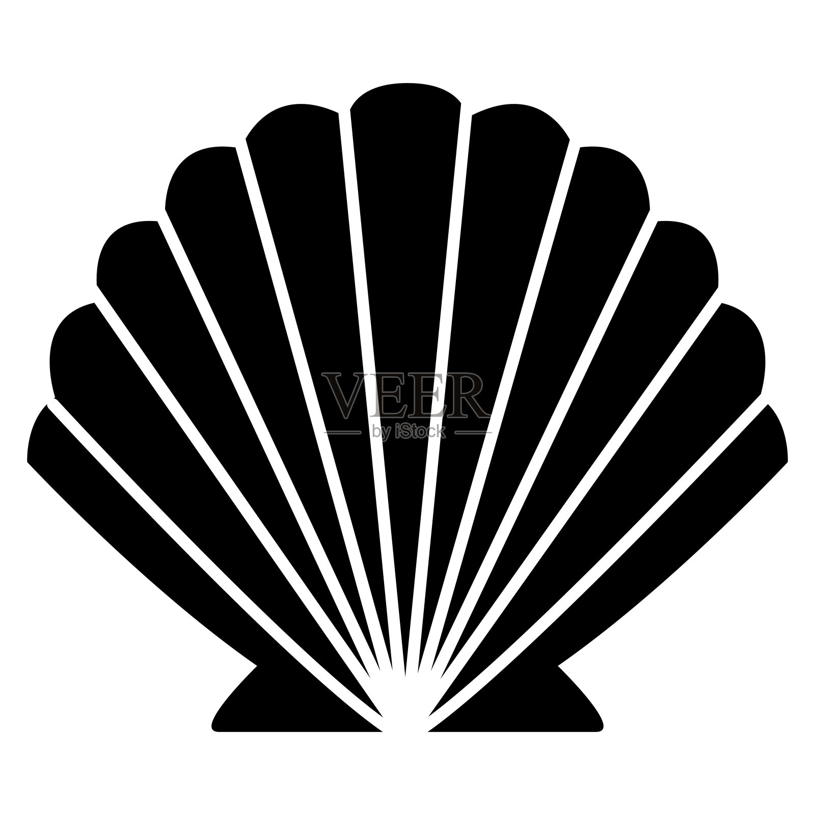 海贝壳孤立在白色的背景插画图片素材