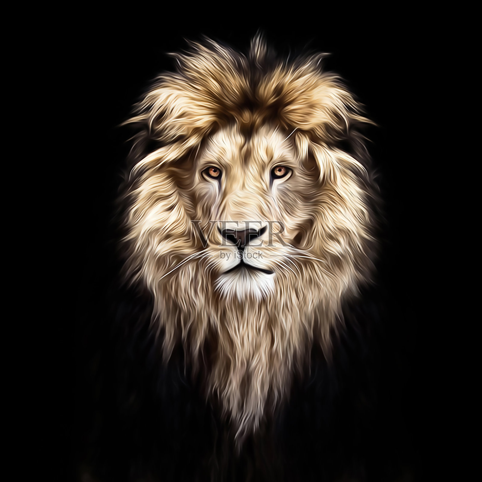 一个美丽的狮子肖像，狮子在黑暗中，油画颜料，柔和的线条照片摄影图片