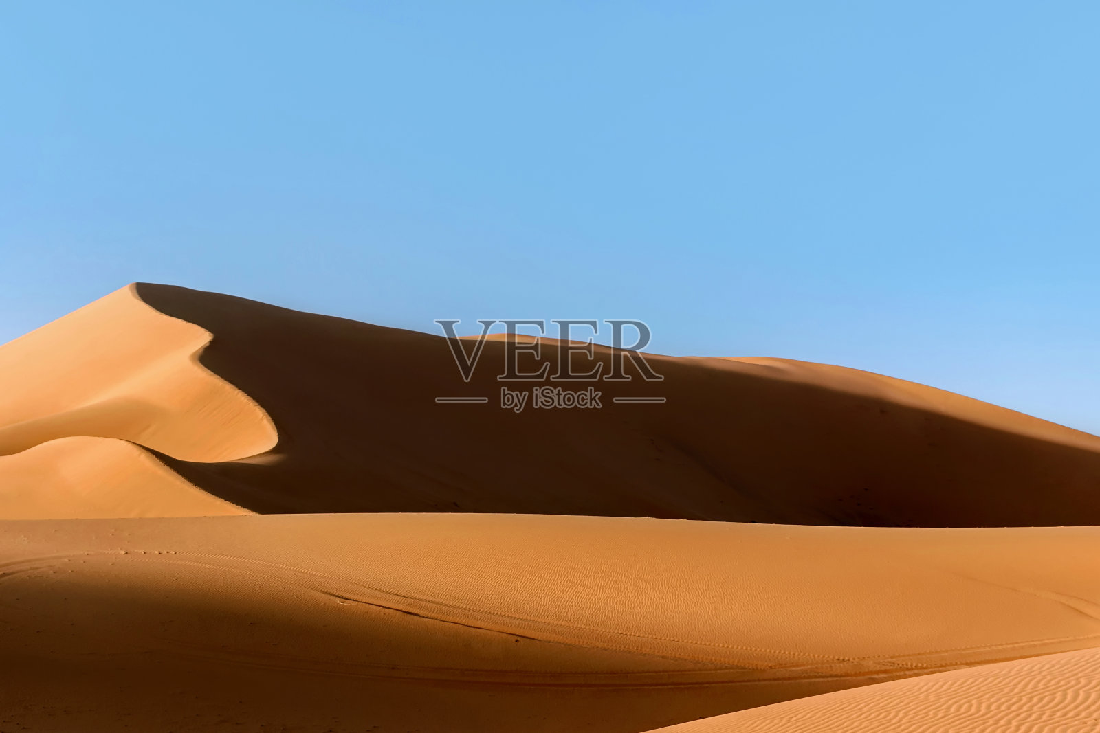 撒哈拉沙漠的金色沙丘照片摄影图片