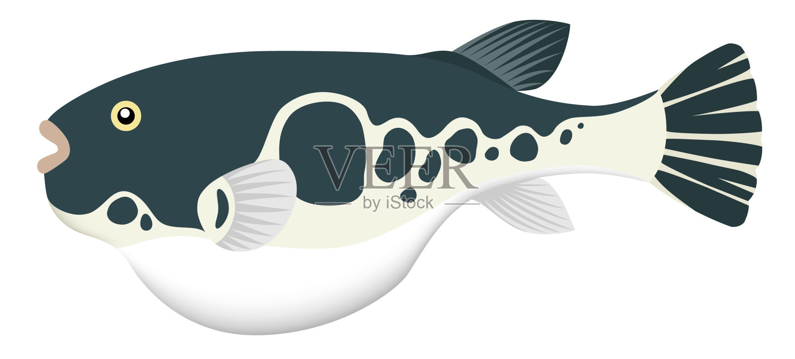 气球鱼，孤立在白色背景上。插画图片素材