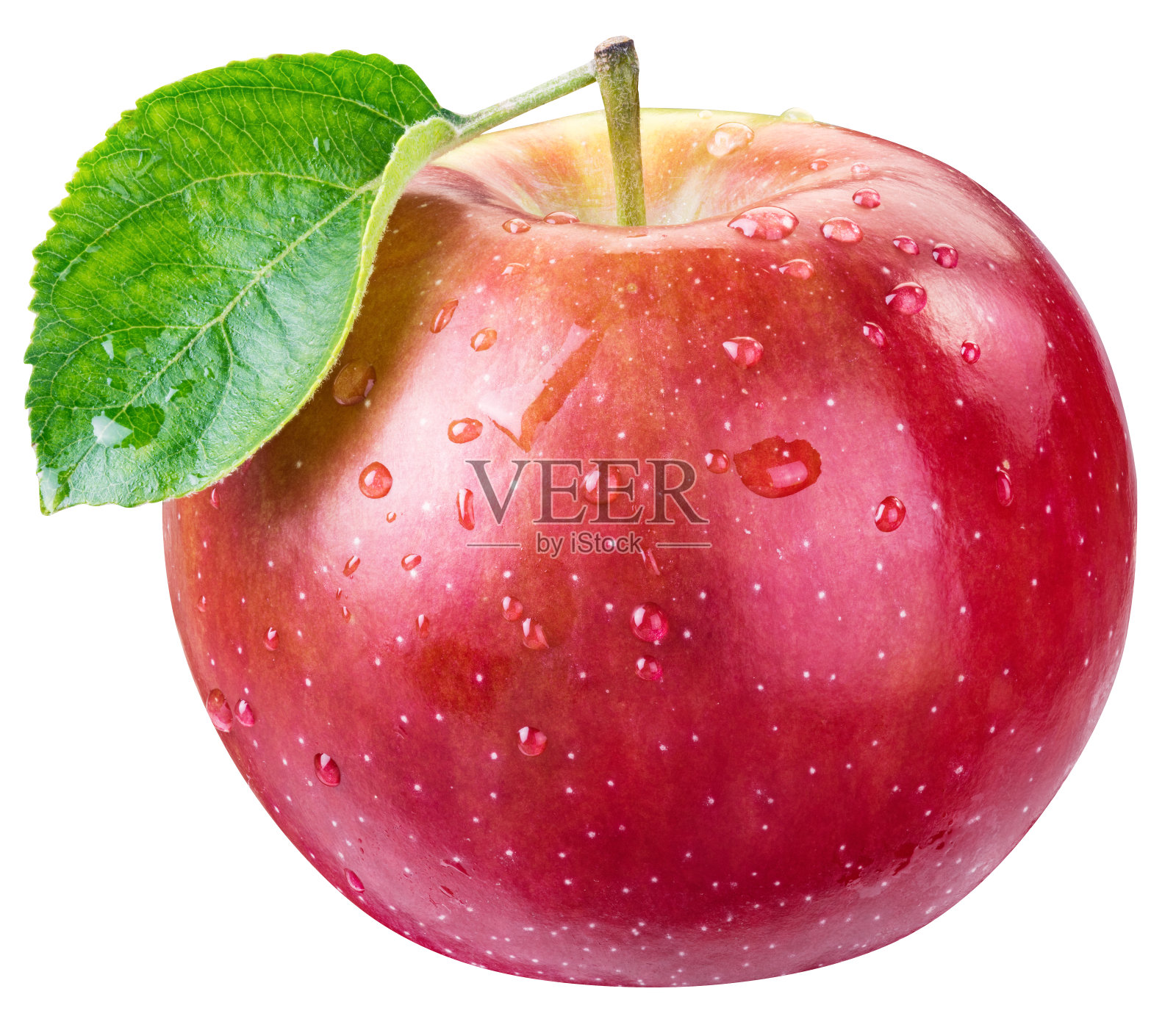 成熟的红苹果滴着水。照片摄影图片
