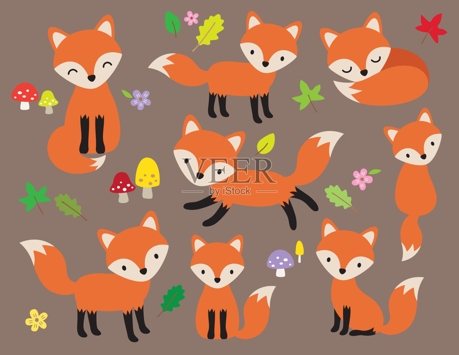 可爱的狐狸矢量插图设计元素图片