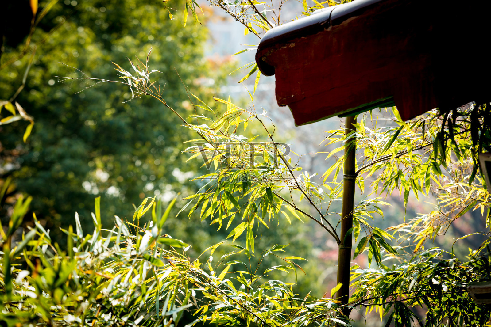 竹子,修道院屋檐照片摄影图片