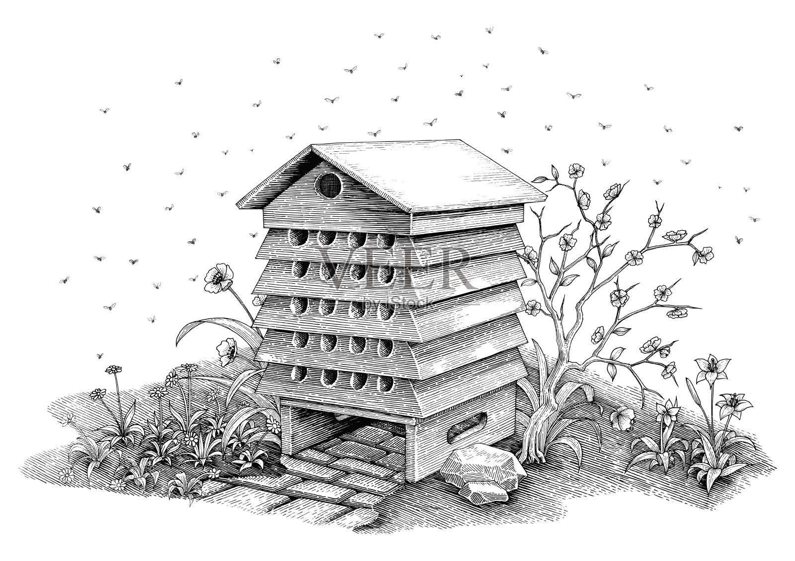 蜂巢手绘复古风格孤立在白色背景插画图片素材