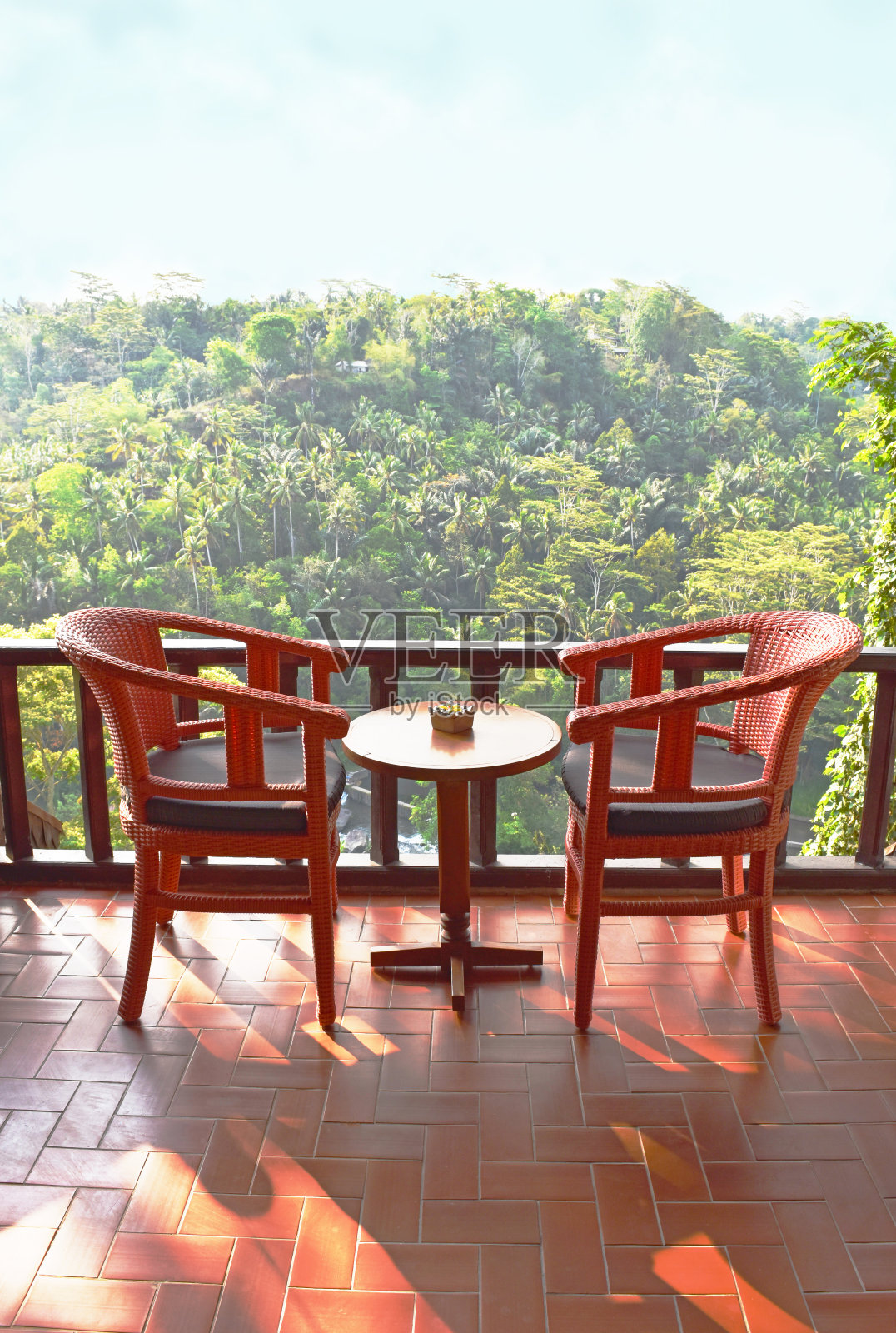 阳台上的两把椅子，可以看到热带树木照片摄影图片