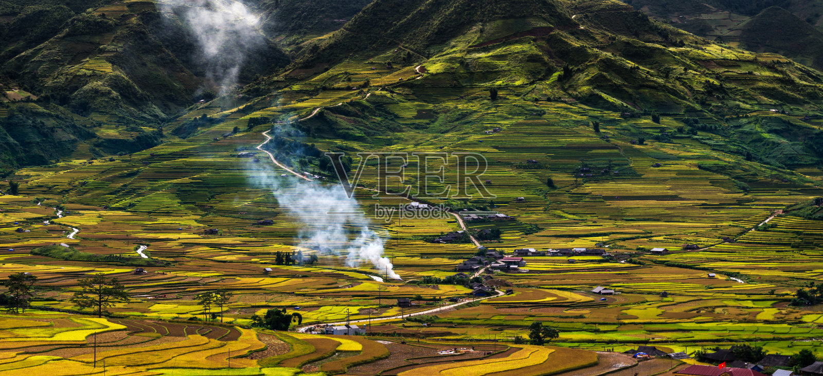 从俯视图可以看到水稻梯田地区，延白省，越南西北部照片摄影图片