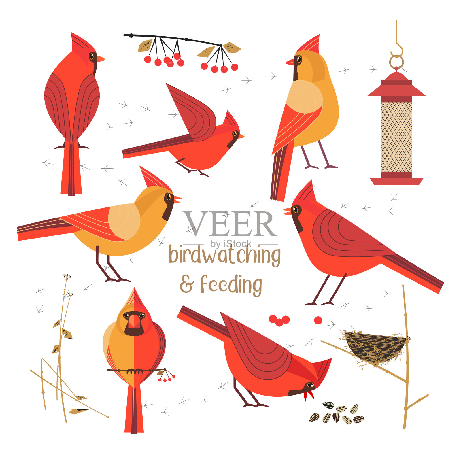 鸟喂养的海报设计元素图片
