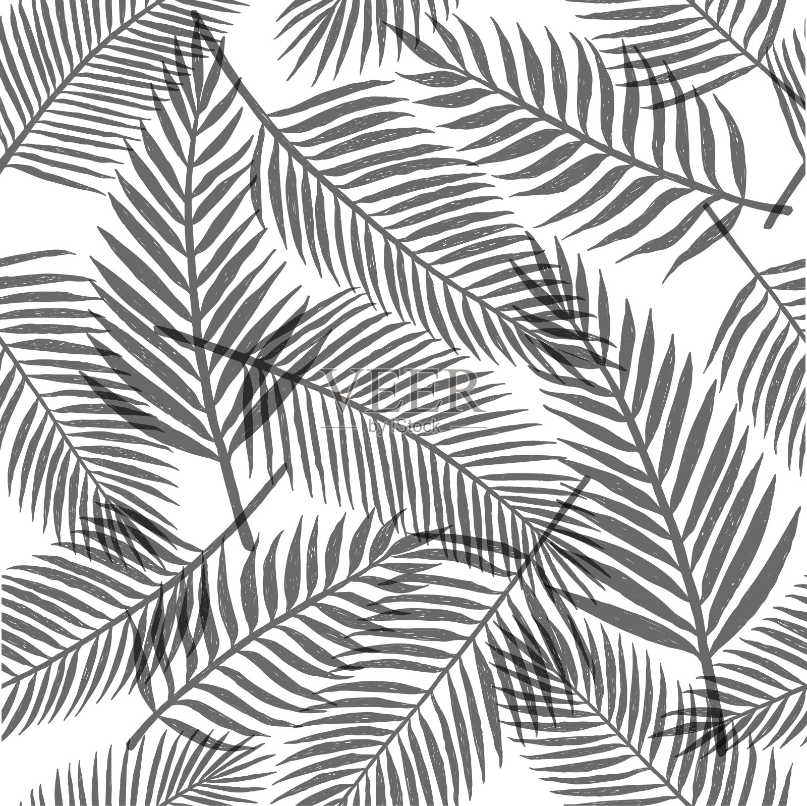 黑白热带树叶背景插画图片素材