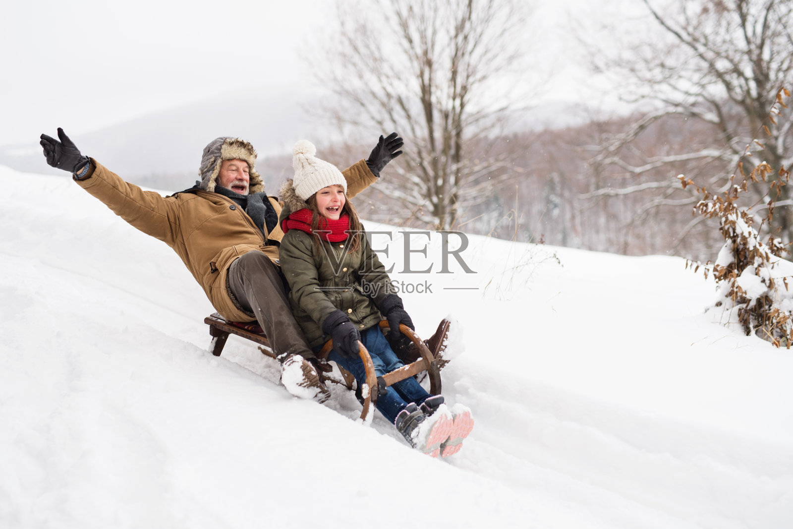 爷爷和小女孩在冬天的一天拉雪橇。照片摄影图片