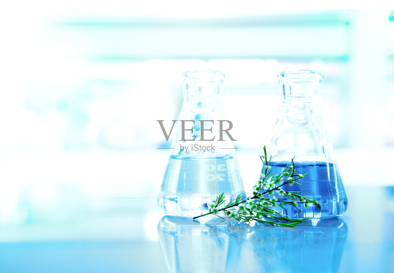 蓝色液体和水在玻璃烧瓶，白色的花和绿色的叶子在医学科学实验背景照片摄影图片