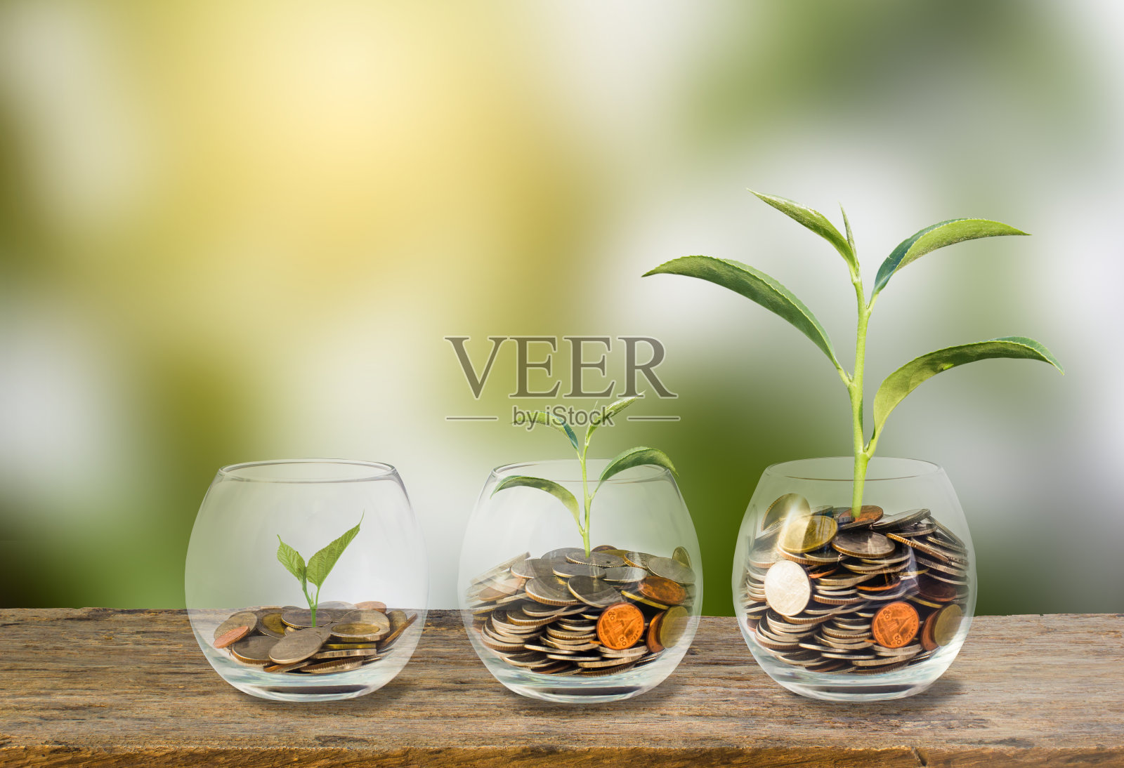 投资的概念。生长在硬币上的植物三步在透明的玻璃瓶木桌上与绿色模糊的背景和光线。概念上的节省资金为增长的业务和未来照片摄影图片