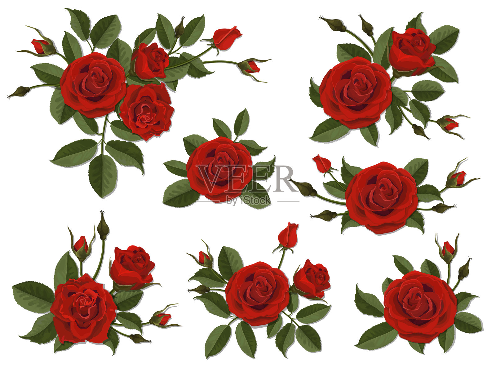 红玫瑰胸花插画图片素材