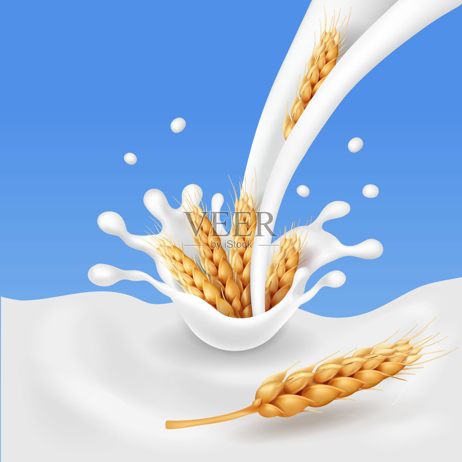 谷物和酸奶，小麦穗子溅牛奶逼真的3d矢量插画图片素材