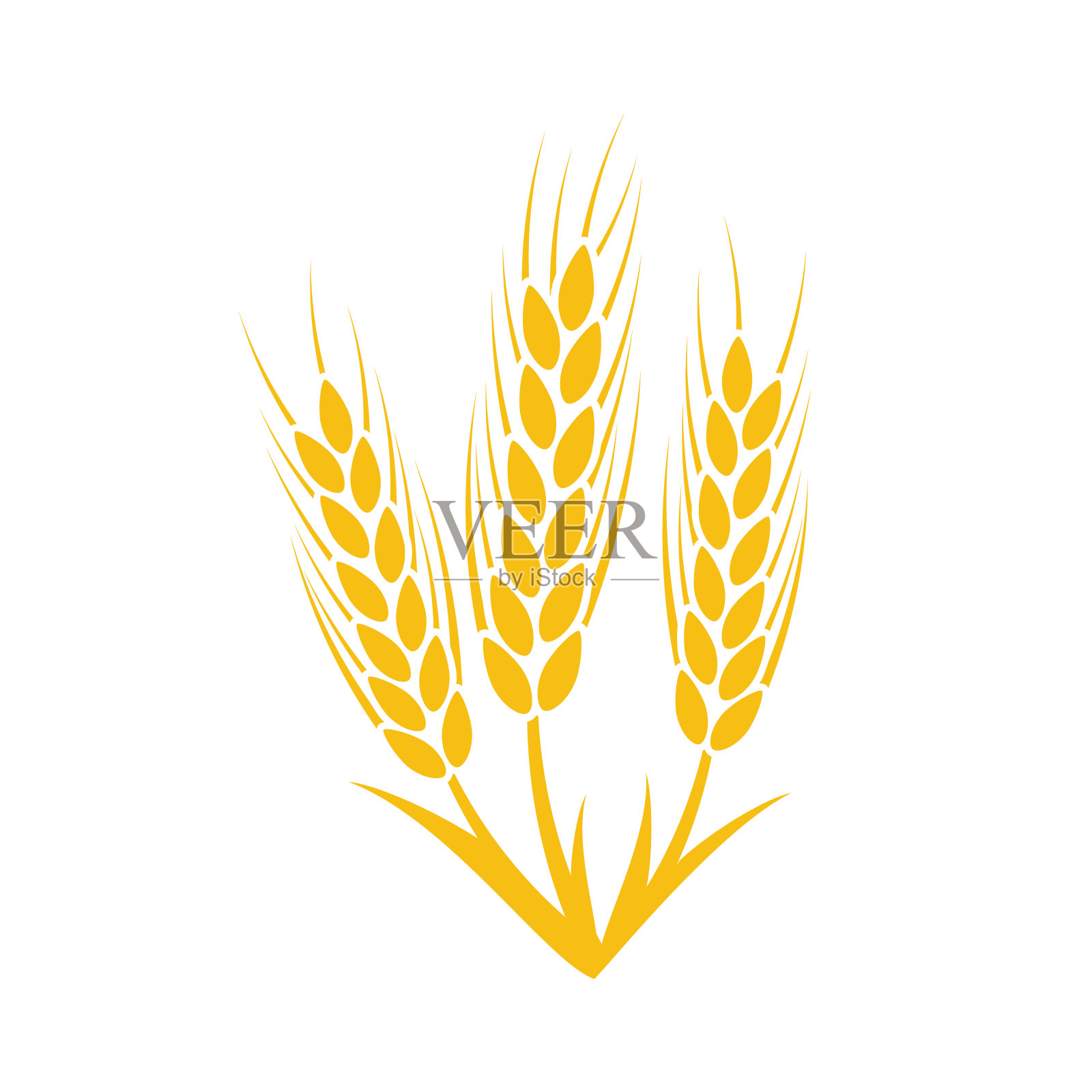 农业小麦符号模板。矢量图设计元素图片