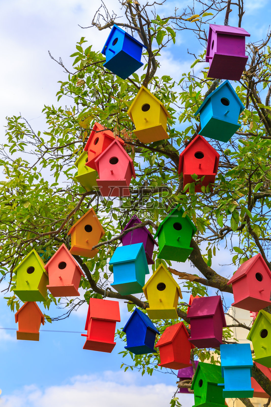 桔子树上有许多色彩鲜艳的鸟屋照片摄影图片