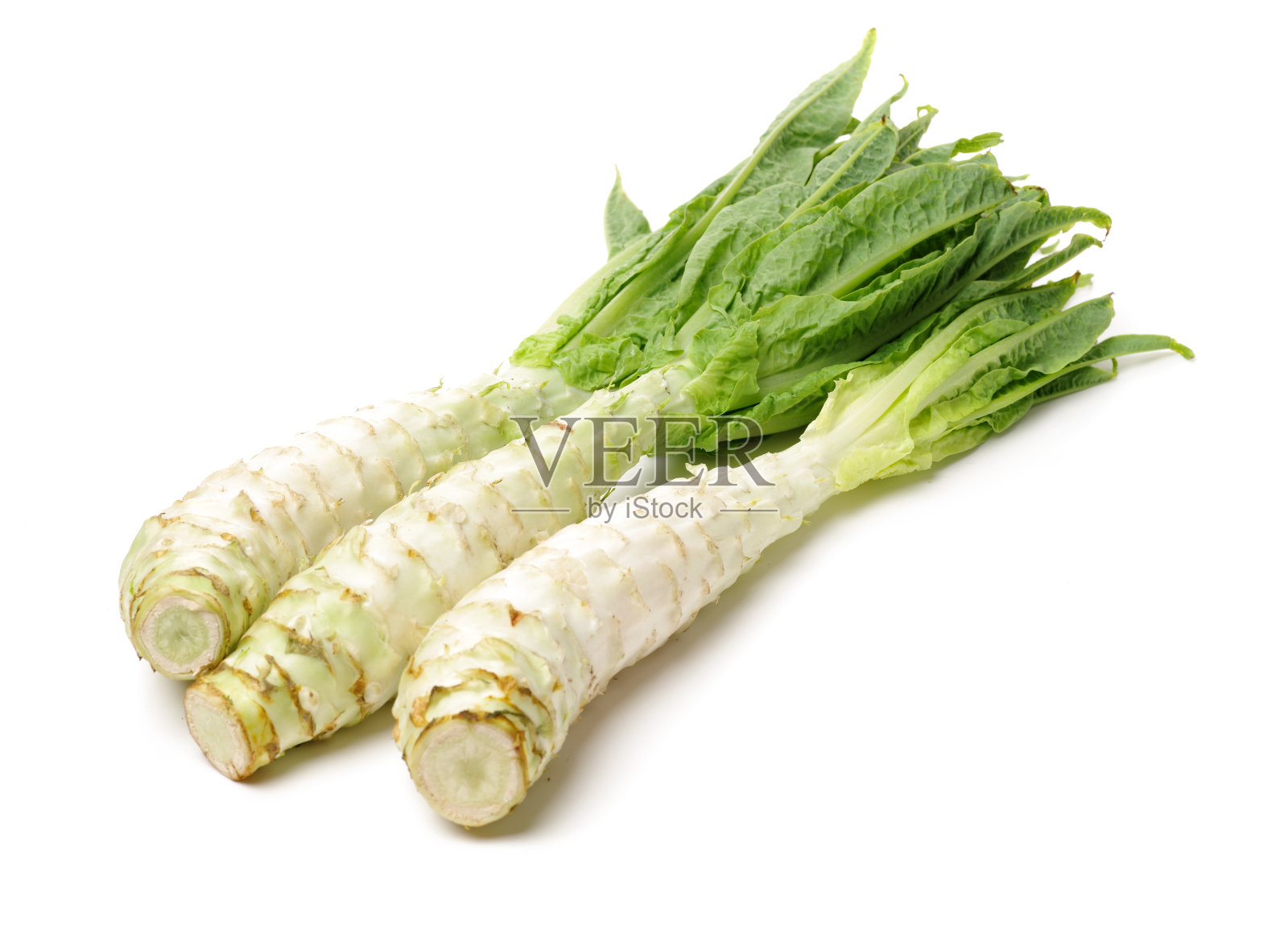 莴笋，芹菜，莴笋蔬菜，茎，绿叶孤立在白色背景上照片摄影图片