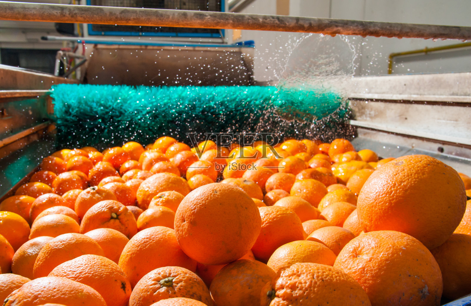 柑橘类水果的加工照片摄影图片