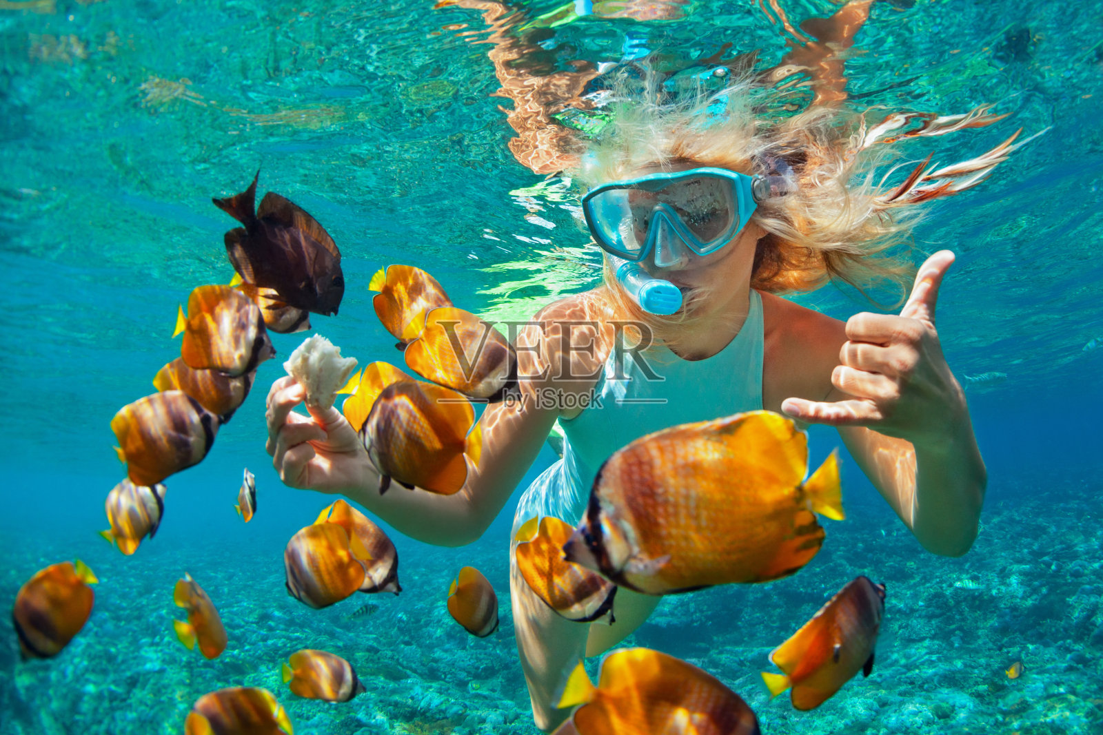 年轻女子浮潜与珊瑚礁鱼类照片摄影图片