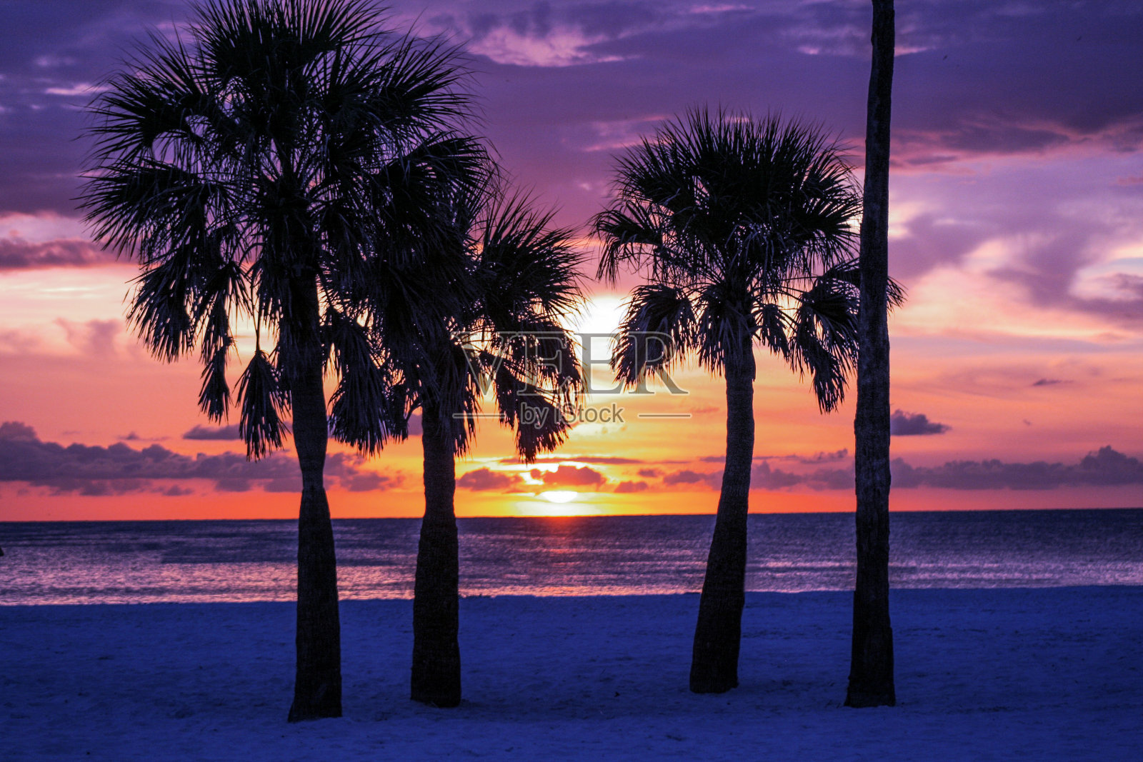 棕榈树的剪影与日落，水平照片摄影图片