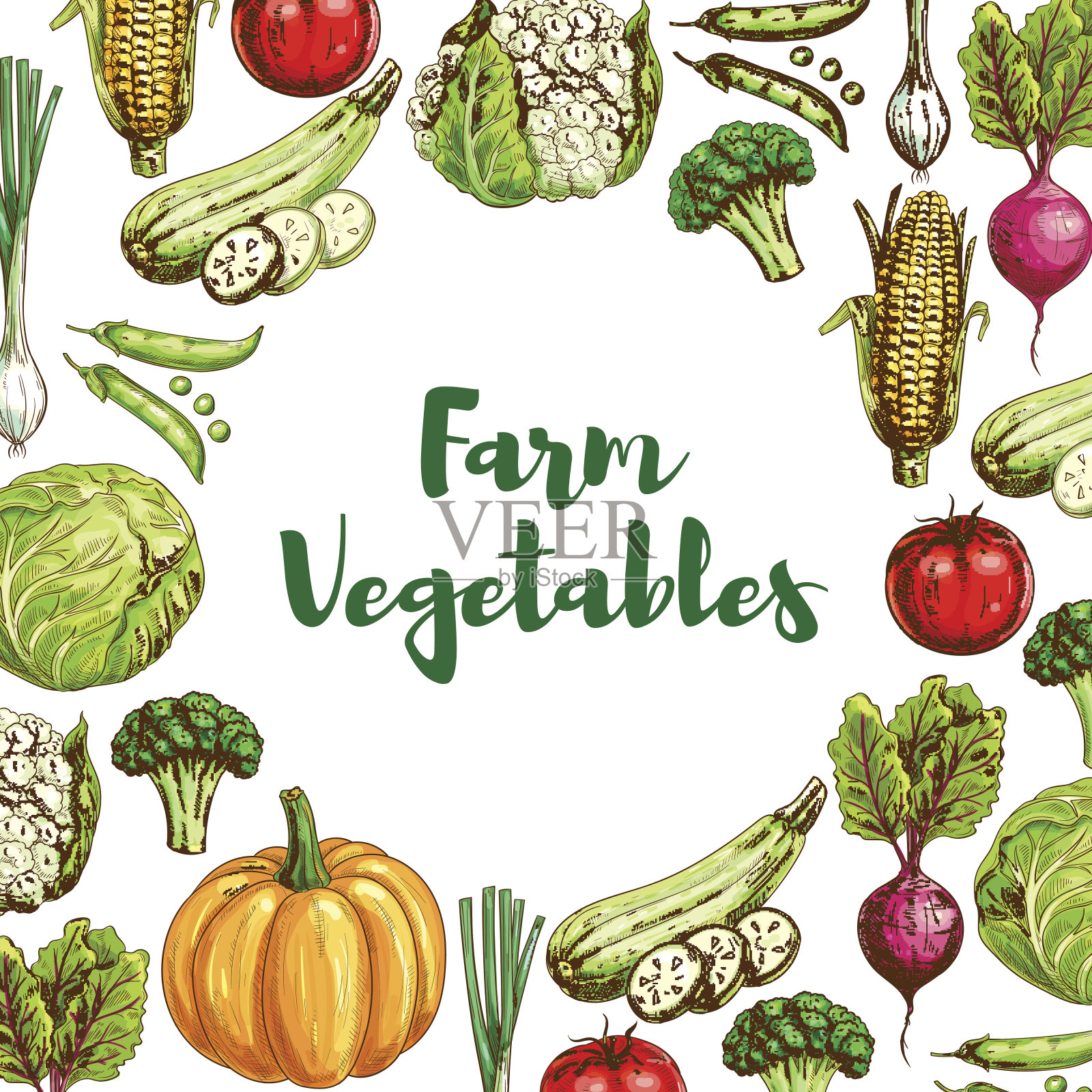 蔬菜海报为有机农业食品设计插画图片素材