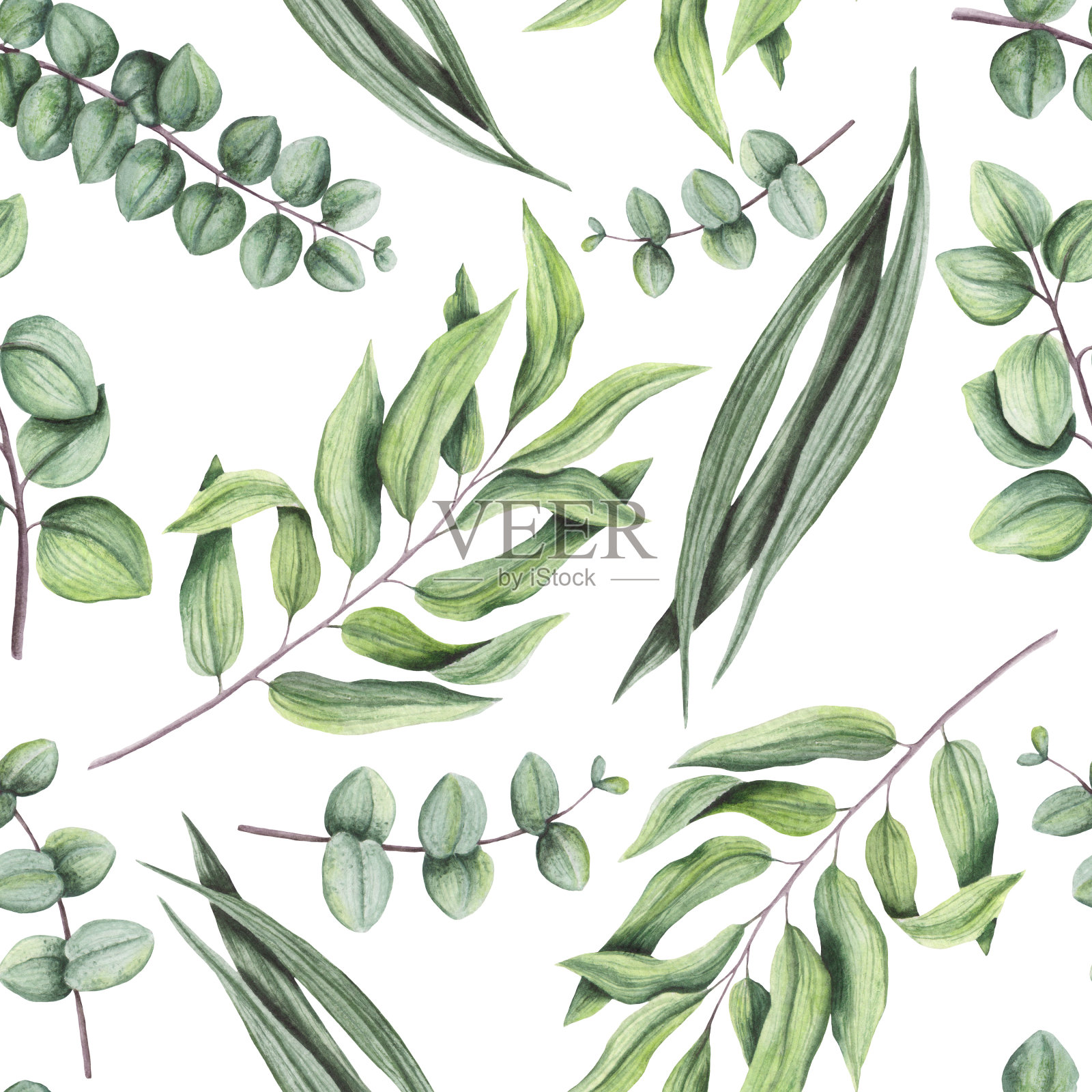 无缝图案的水彩绿叶和桉树插画图片素材