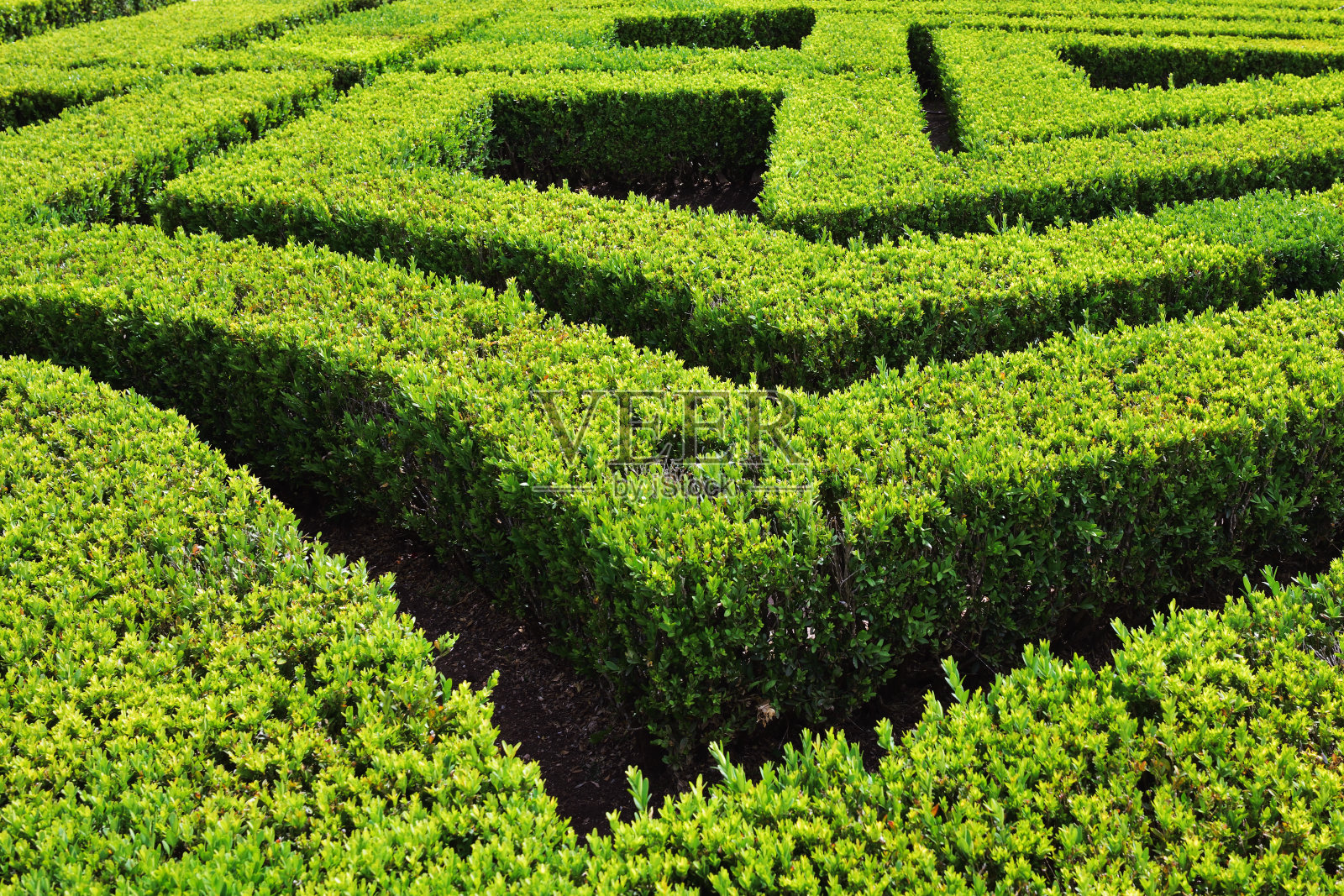 葡萄牙的绿色迷宫照片摄影图片