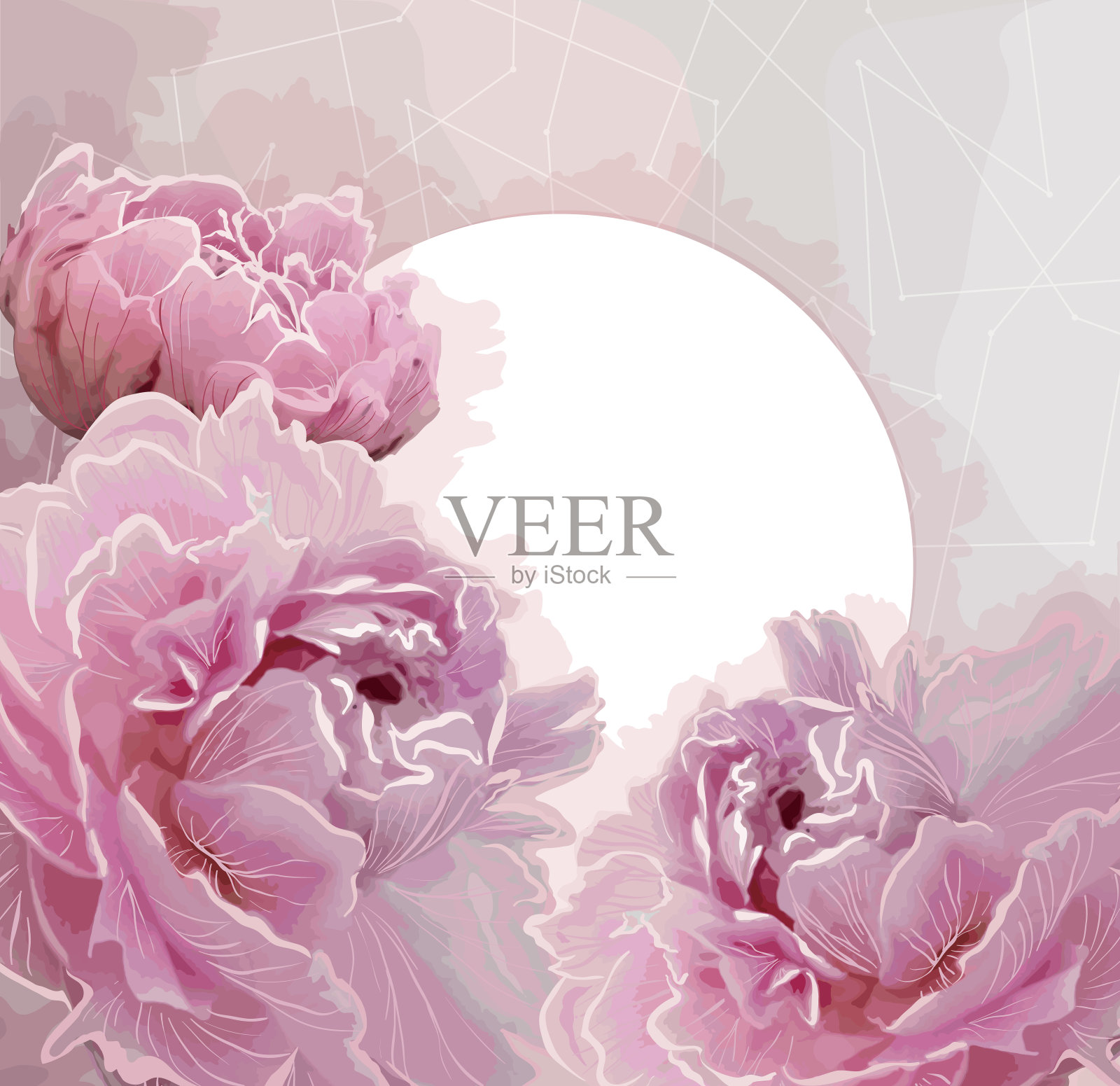 粉红色牡丹花背景与圆形标签插画图片素材