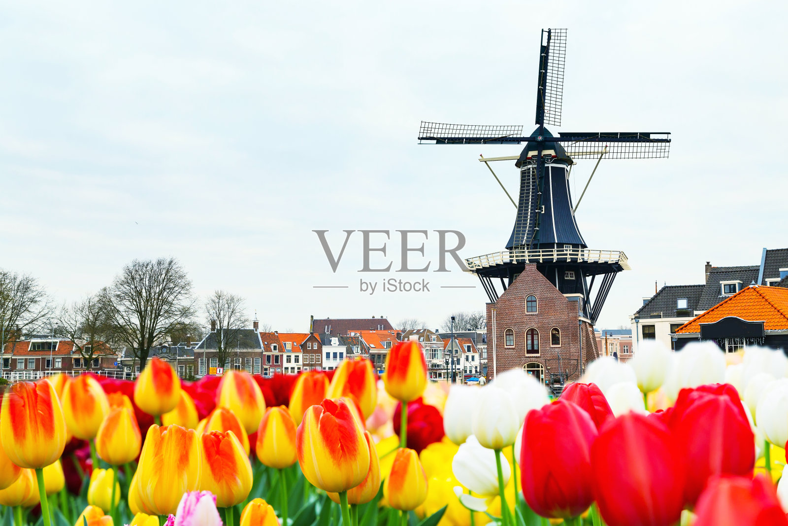 荷兰哈勒姆的风车景色如画照片摄影图片