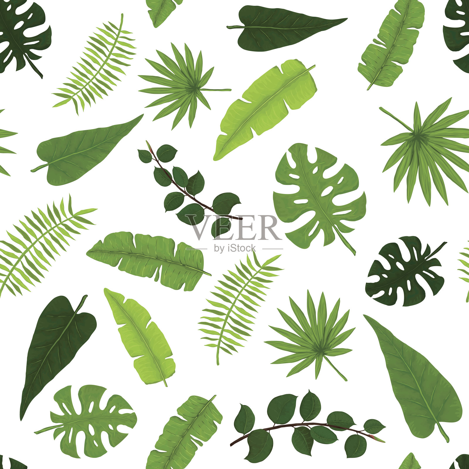 热带绿色叶的奇异无缝图案插画图片素材