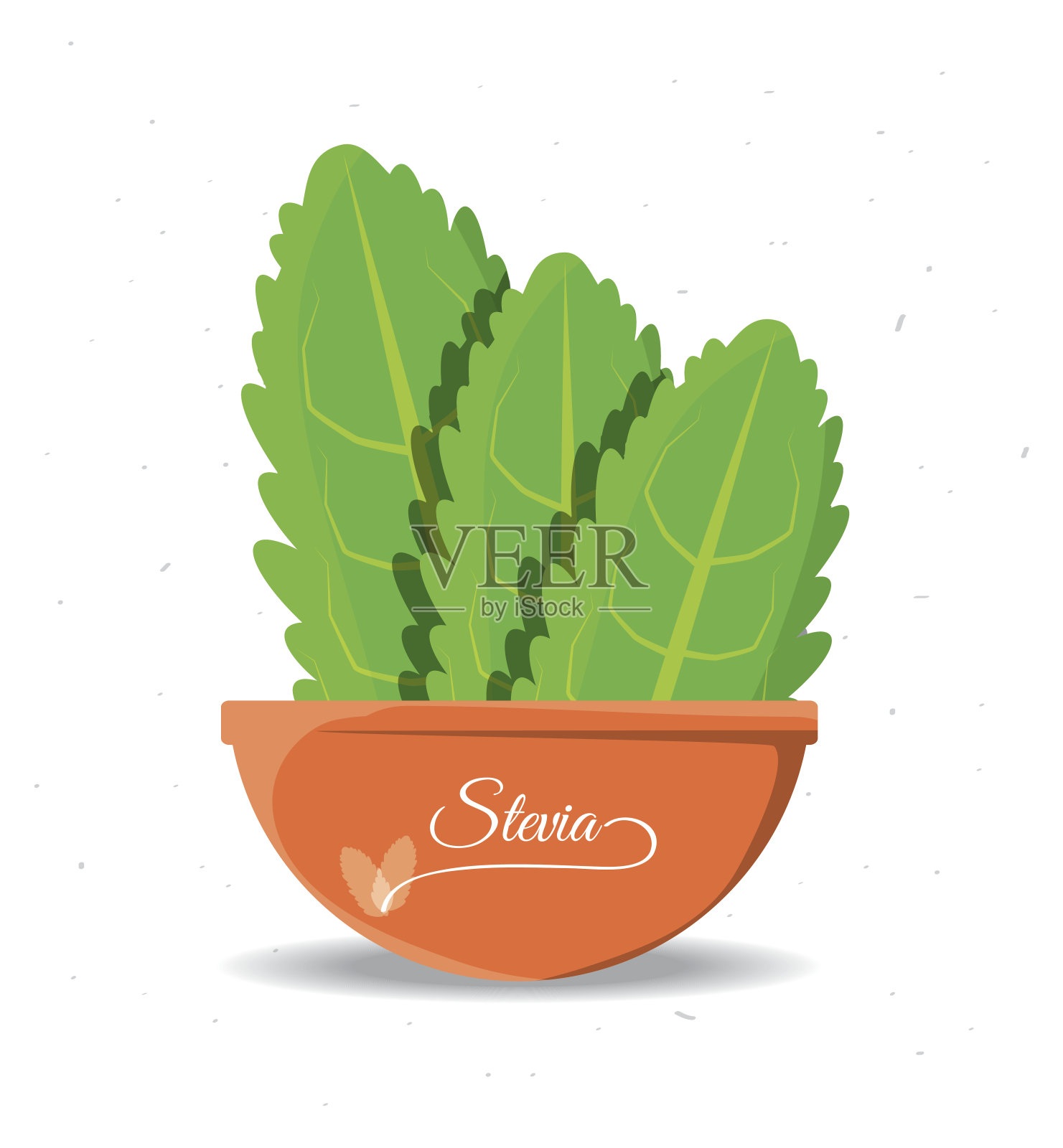 甜菊属天然甜味剂植物和有机产品插画图片素材