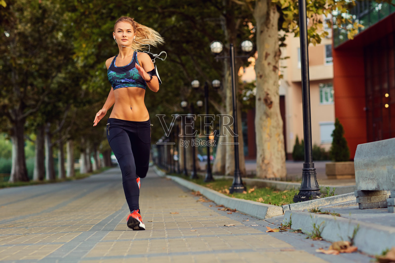 年轻的运动女孩跑步在公园在夏秋照片摄影图片