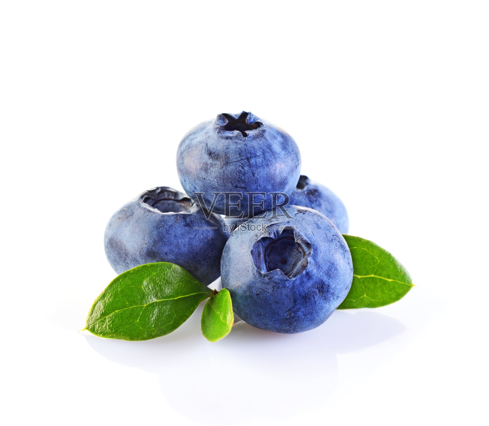 近距离观看新鲜成熟的蓝莓叶照片摄影图片