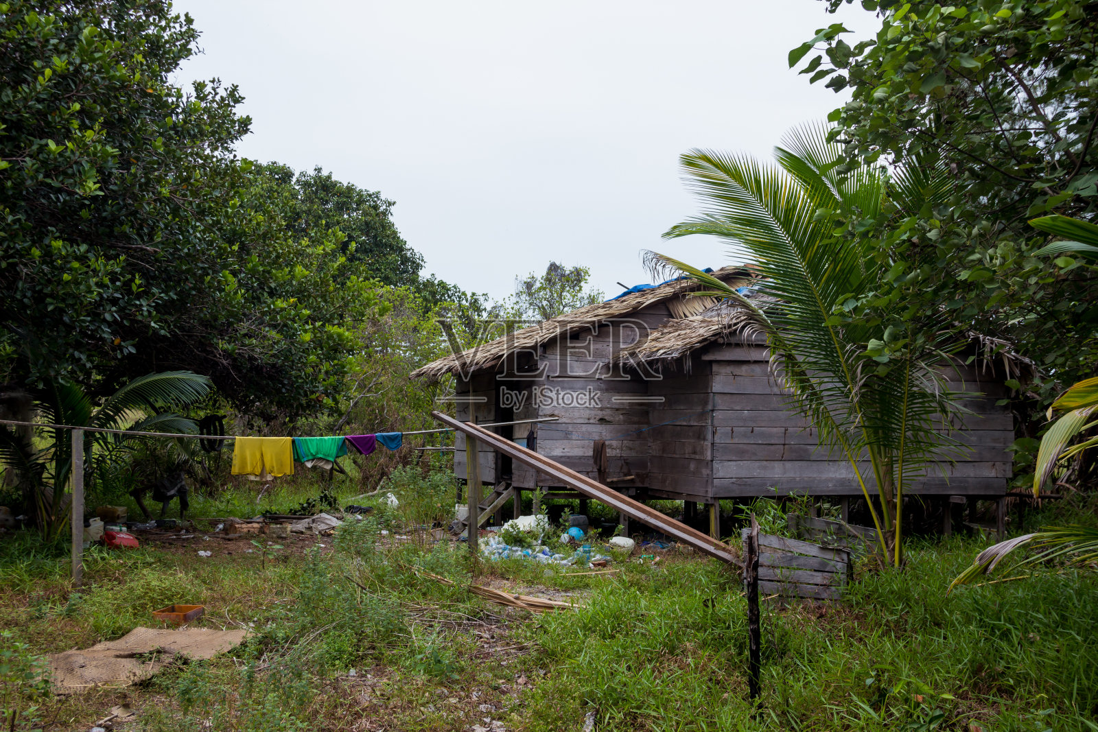 印度尼西亚加里曼丹丛林中的当地小屋照片摄影图片