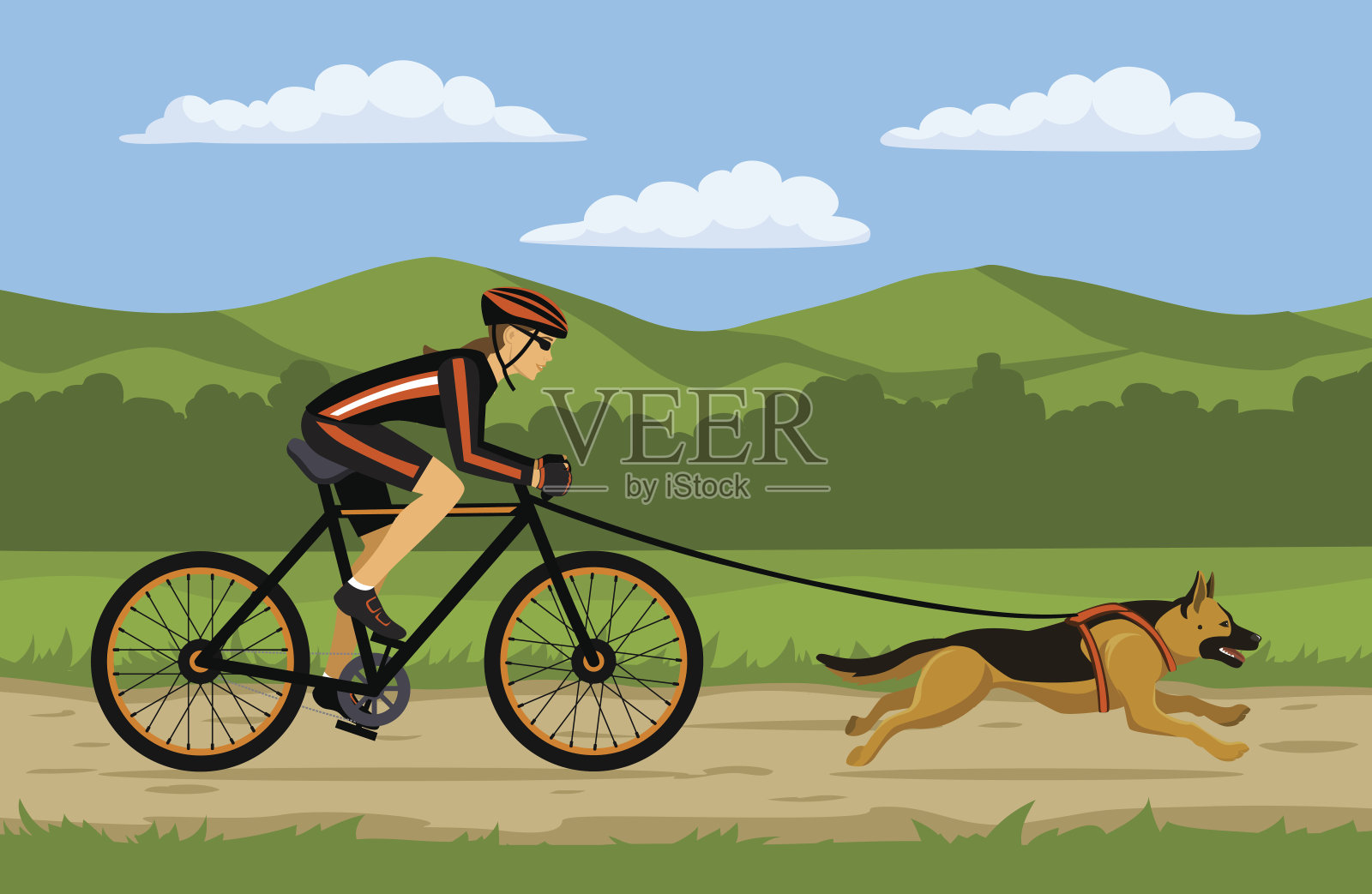 骑自行车的女人骑自行车和她的狗。户外锻炼插画图片素材