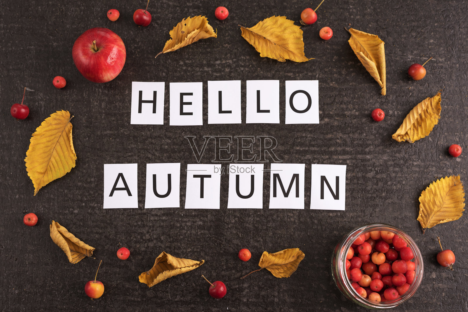 秋天的作文用树叶、苹果和标志照片摄影图片