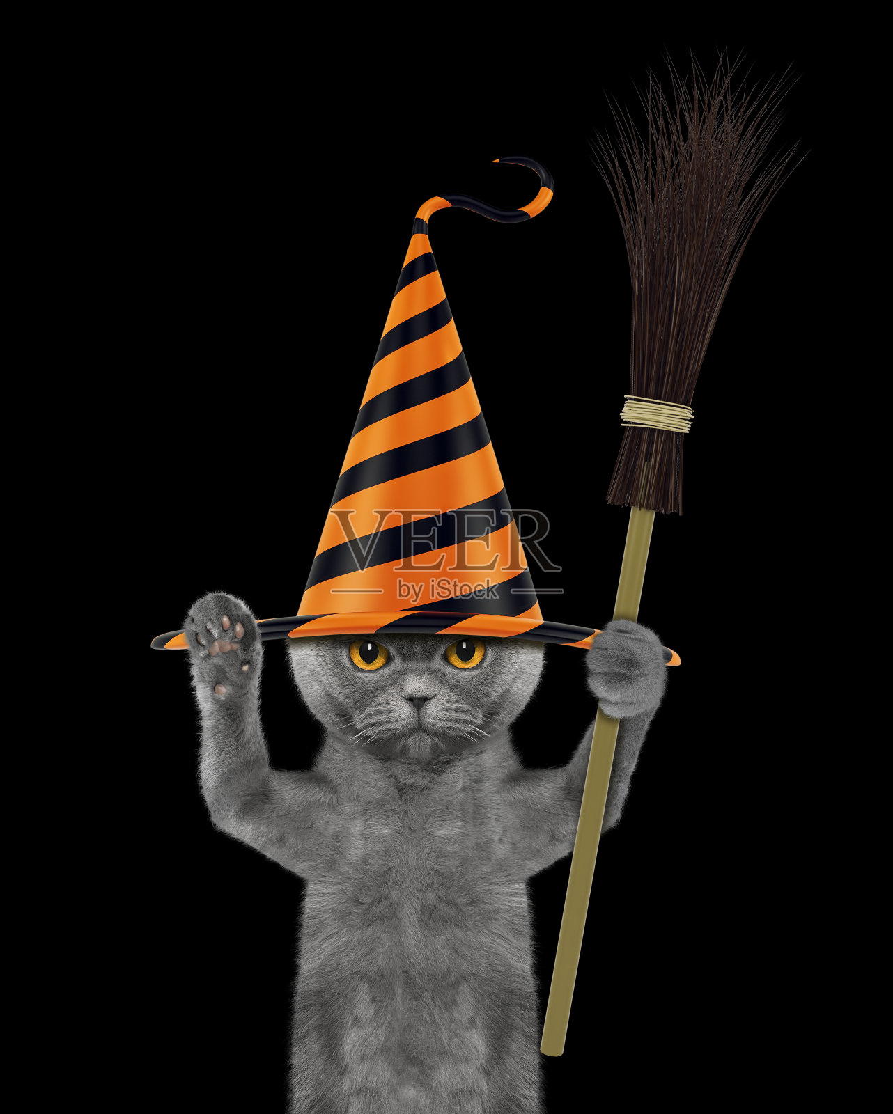 可爱的万圣节猫在滑稽的帽子与扫帚-孤立的黑色照片摄影图片