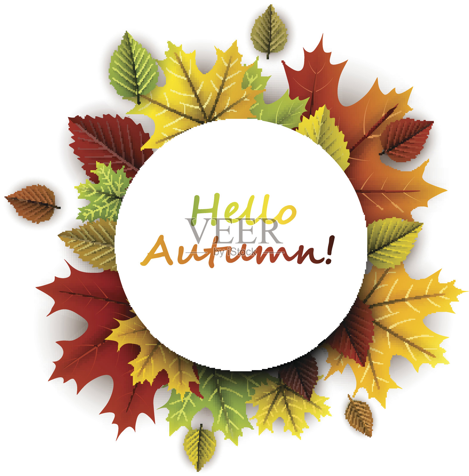 Hello autumn card with colorful leaves.秋天卡片。插画图片素材