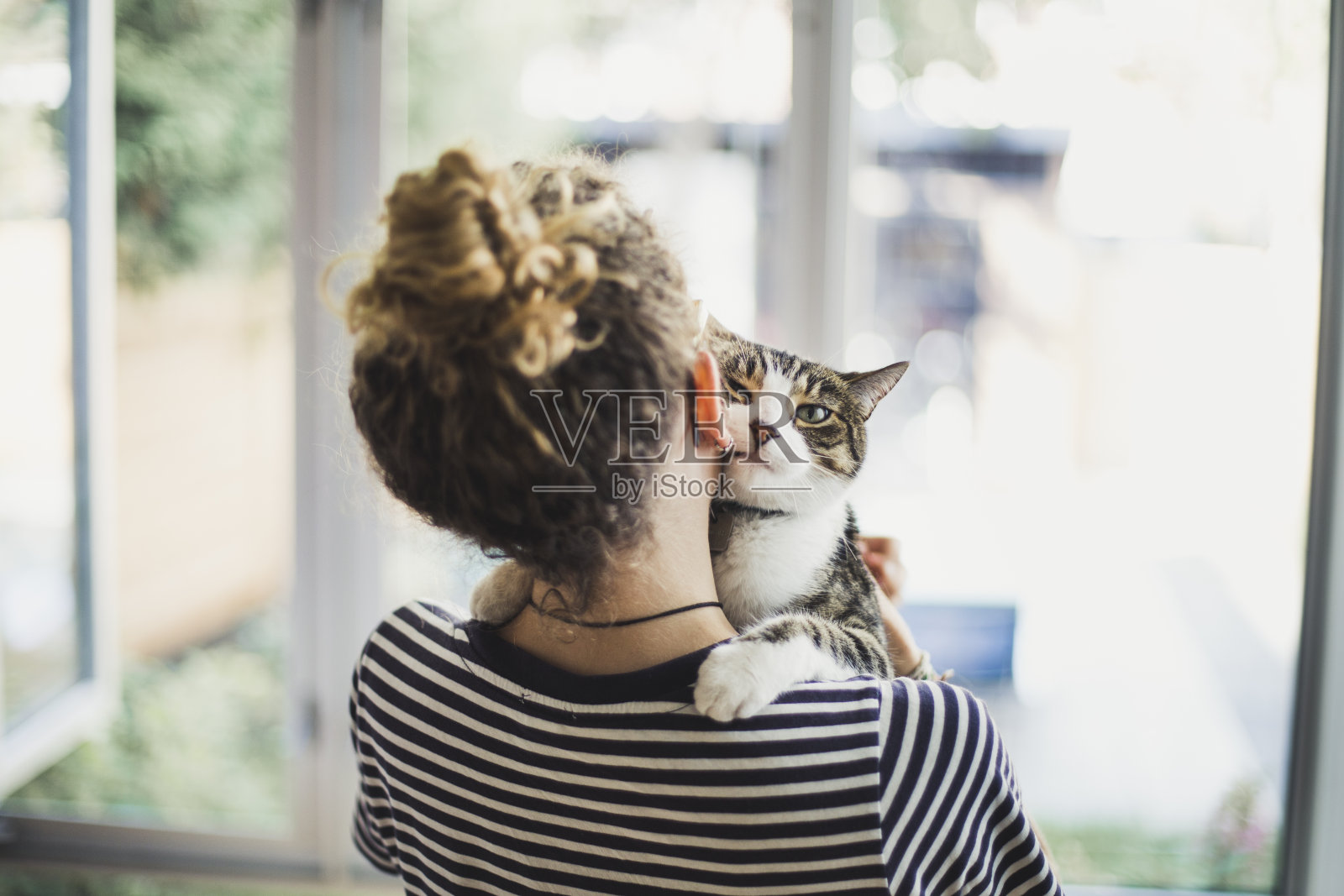 一个女孩抱着她的猫照片摄影图片