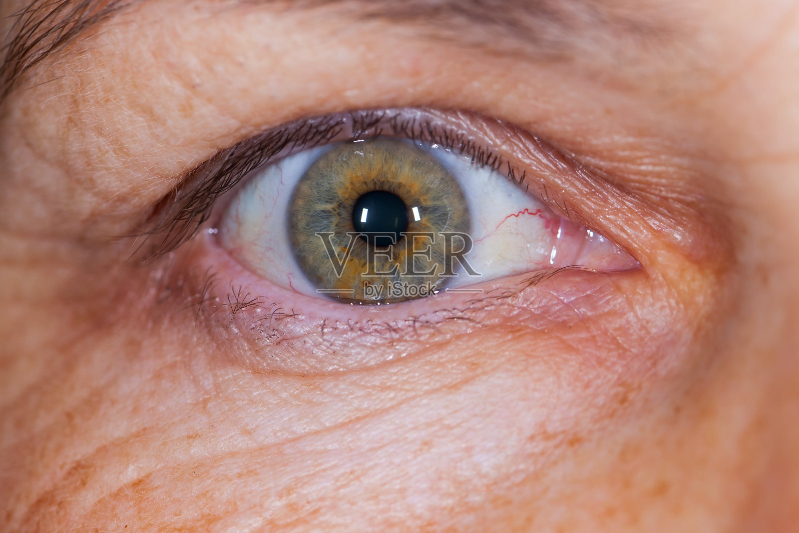 老年女性的绿眼睛照片摄影图片