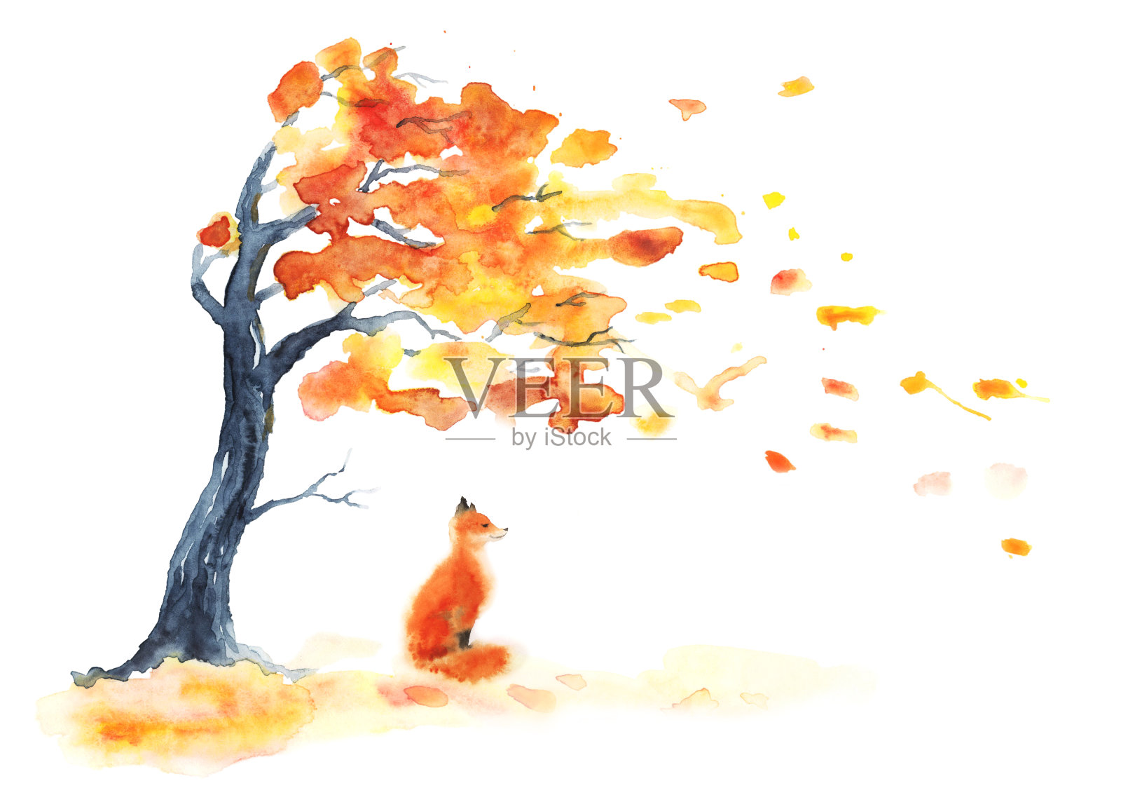 水彩秋天的树与黄色和橙色的叶子和红色毛茸茸的可爱的狐狸在白色。插画图片素材